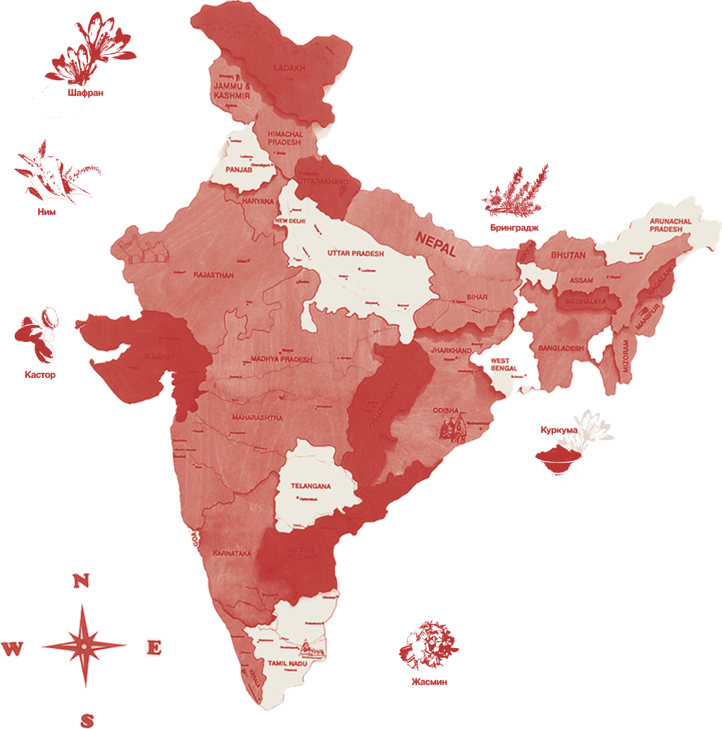 100% Indian